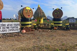 Sprawdź te wyjątkowe dekoracje ze słomy. Wielkopolanie mają talent