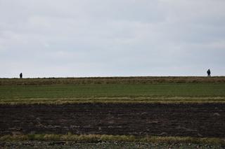 Trwają poszukiwania zaginionej 73-latki z Łowiec 