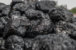 Gdzie można kupić najtańszy węgiel? Sprawdź na rządowej stronie! 