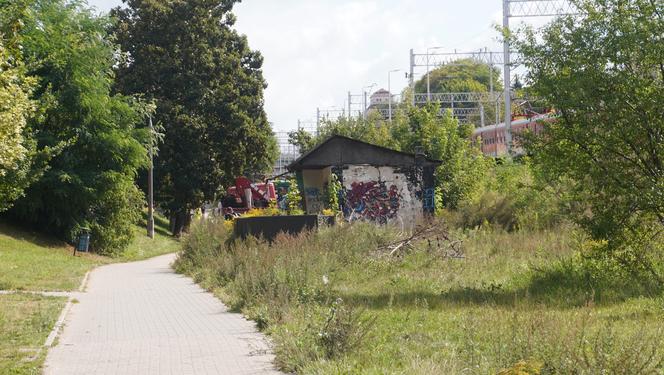 Zdemolowane rudery niemal w centrum Olsztyna. „Smród bywa podobno nie do zniesienia” [ZDJĘCIA]