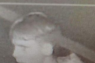 Poznańska policja szuka sprawców pożaru molo na Strzeszynku