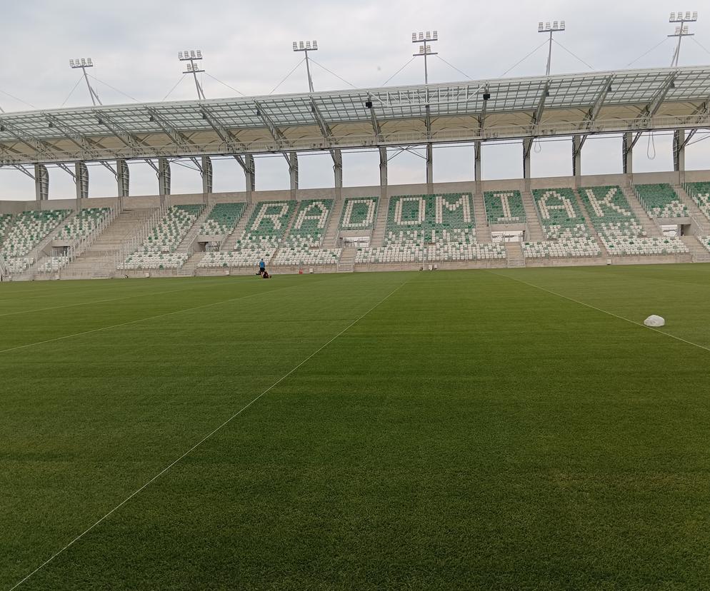 stadion murawa 