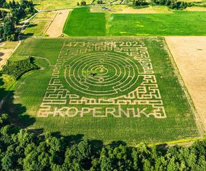 Labirynt w Kurozwękach