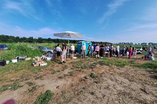 Samozbiory truskawek u Manfreda Skrzypczyka