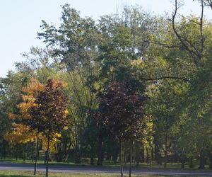 Park im. św. Jana Pawła II w jesiennych barwach