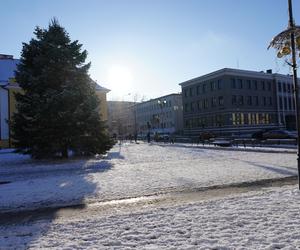 Choinka stanęła w centrum Białegostoku. 12-metrowa atrakcja gotowa na Boże Narodzenie