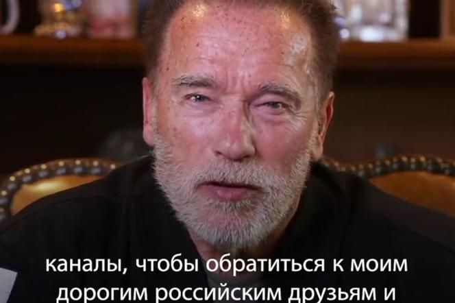 Arnold Schwarzenegger apeluje do Putina. Nagrał wideo! 