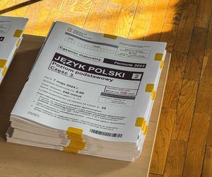 Matura z polskiego 2025 wyciekła do sieci? Uczniowie rano szukali głównie tego 