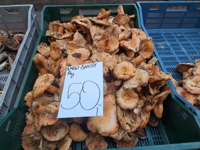 Ceny grzybów na Nowym i Starym Kleparzu w Krakowie