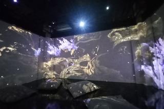 Save the Planet : Ocalmy Planetę! - wyjątkowa wystawa w Fabryce Norblina