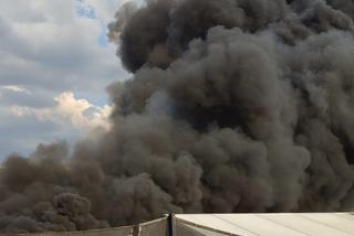 Potężny pożar pod Bolesławcem