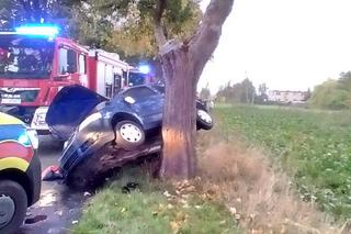 Lubieszewo: Wypadek osobówki. Kierowca trafił do szpitala [ZDJĘCIA]