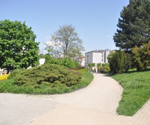 Park Miejski w Kielcach. Wiosna 2025