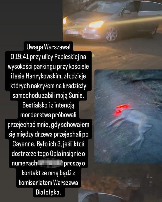 Przejechali mu psa oplem. "Zabili moją Sunię"