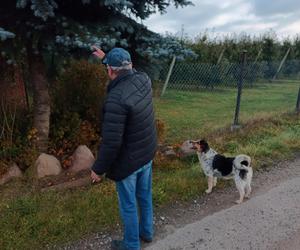 Gacek znalazł się w pułapce. Uratowała go suczka Roksana