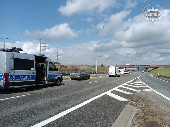 Gliwice. Na autostradzie stoi koń. Uwaga kierowcy!