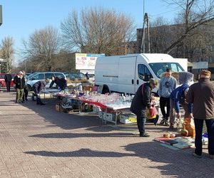 Giełda Staroci w Starachowicach. Dzień Kobiet 2025