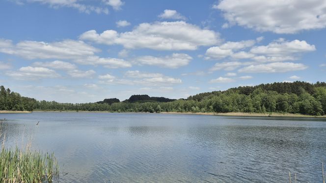 To jezioro w Olsztynie ma niezwykle czystą wodę. Jest kilka dzikich plaż, które świecą pustkami