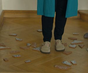 Barwy szczęścia, odcinek 3201: Józefina (Elżbieta Jarosik) 