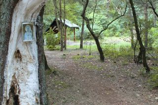 Opuszczona wieś Bonów