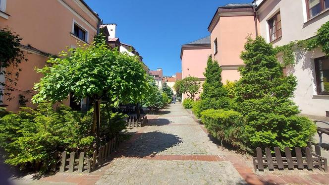 Zamość