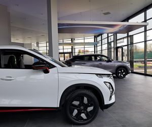 Nowoczesny SUV, który podbija polskie drogi
