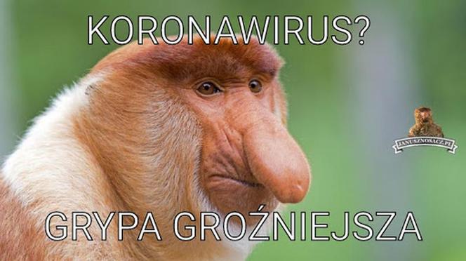 Koronawirus dotarł do Polski. Jest pierwszy przypadek. Zobacz najlepsze memy