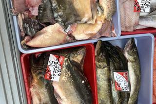 Rekordowe ceny karpia