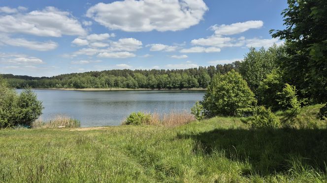 To jezioro w Olsztynie ma niezwykle czystą wodę. Jest kilka dzikich plaż, które świecą pustkami