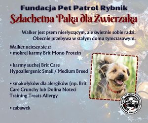 Pet Patrol Rybnik organizuje akcję Szlachetna Paka dla Zwierzaka 