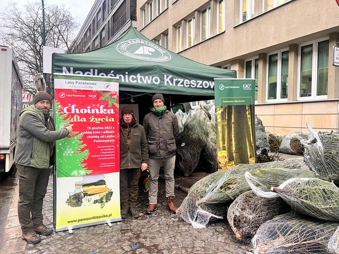 Akcja "Choinka dla życia" w Krakowie