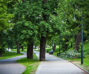 Park Praski wyremontowany. Zobacz, jak się zmienił