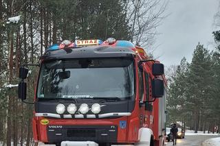 Strażacy uratowali psa z przepustu drogowego