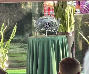 Pogrzeb Stanisława Sojki