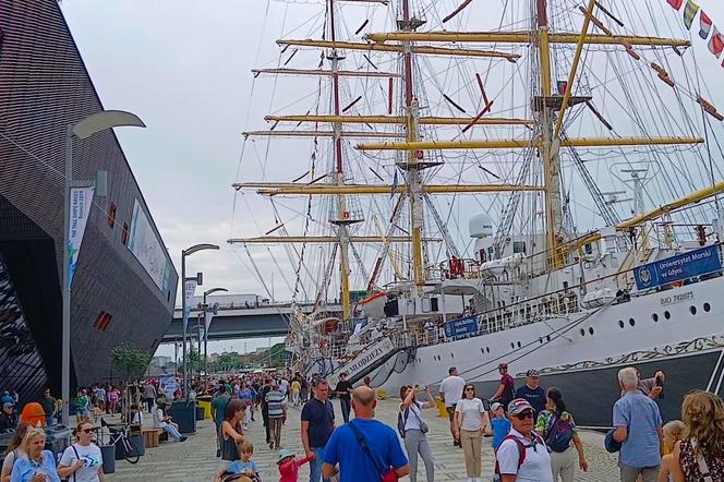 The Tall Ships Races 2024 w Szczecinie