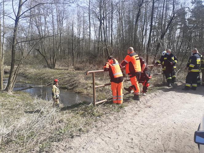 Płock. „Bus wpadł do rzeki, 4 osoby wyciągnięte z pojazdu”. Skandaliczne zachowanie zgłaszającego! [ZDJĘCIA]