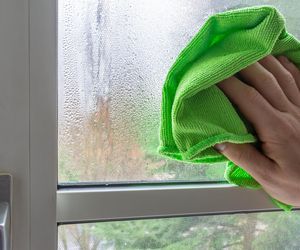 Zaparowana szyba może prowadzić do rozwoju pleśni i grzybów