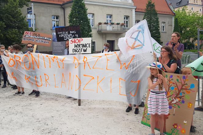 Poznań: Stop wycince drzew - mieszkańcy protestowali na Placu Kolegiackim! 