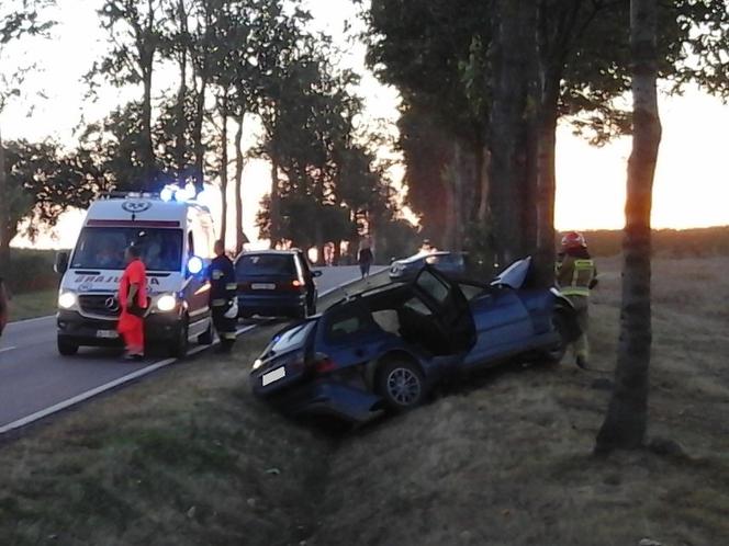 Kierowca BMW wypadł z drogi na zakręcie. Samochód uderzył w drzewo [ZDJECIA]