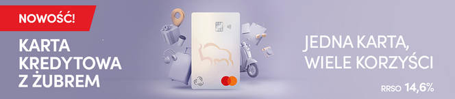 Jedna karta kredytowa, wiele korzyści  