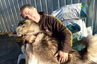 Wolontariusze ratują koty i psy w Ukrainie