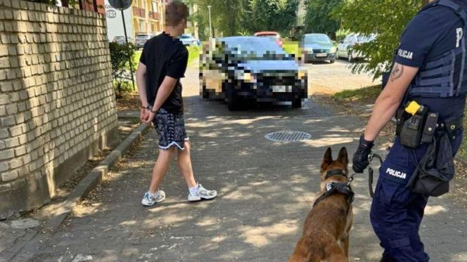 Myślał, że przechytrzy policję. 18-latek z Lubina po kolizji ukrył się w śmietniku, ale wytropił go pies "Rampa"