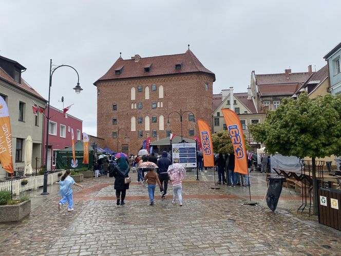 Półmaraton Ślimaka 2025