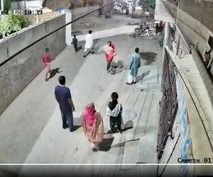 Lew rzucił się na dzieci i kobietę pośrodku ulicy! Oto, co stało się potem