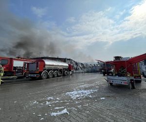 Potężny pożar pustoszy halę w woj. lubelskim