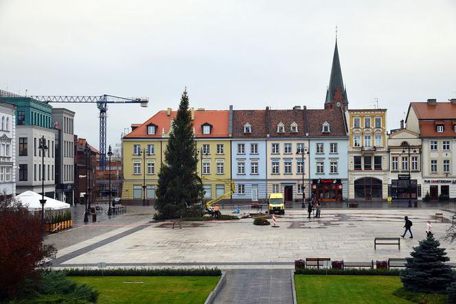 Magia świąt opanowała Bydgoszcz! Na Starym Rynku pojawiła się choinka! [ZDJĘCIA]