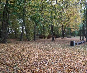 Park Lubomirskich w Białymstoku jesienią 