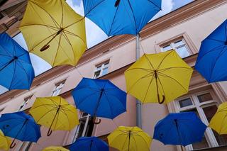 Na Tarnów wylał się hejt z powodu... parasolek. Internautom nie spodobały się kolory [WIDEO, ZDJĘCIA]