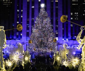 Najsłynniejsza choinka świata już zachwyca na Manhattanie