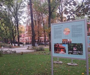 Park Zdrojowy w Krakowie